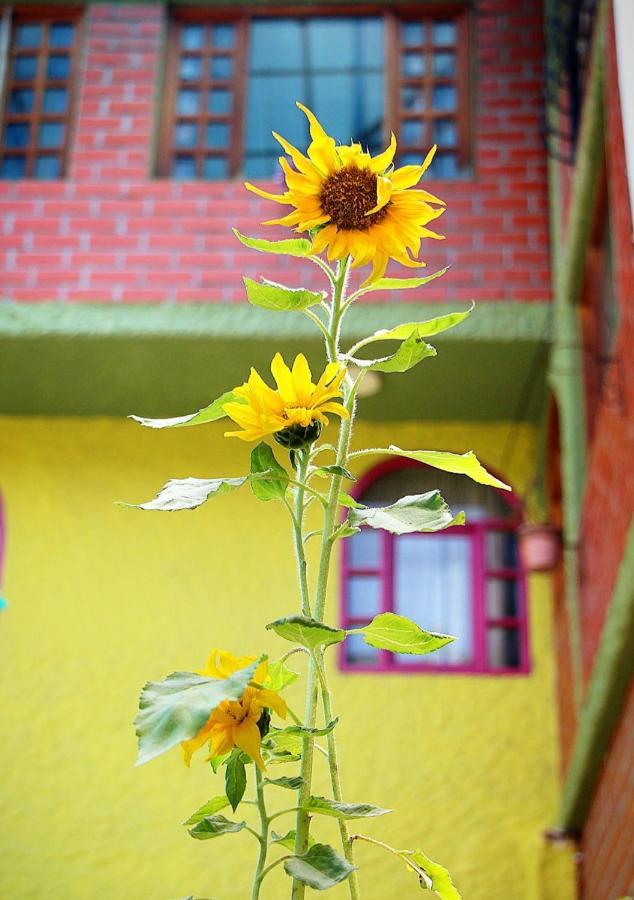 Hostal Inti Raymi Backpackers Baños Екстериор снимка